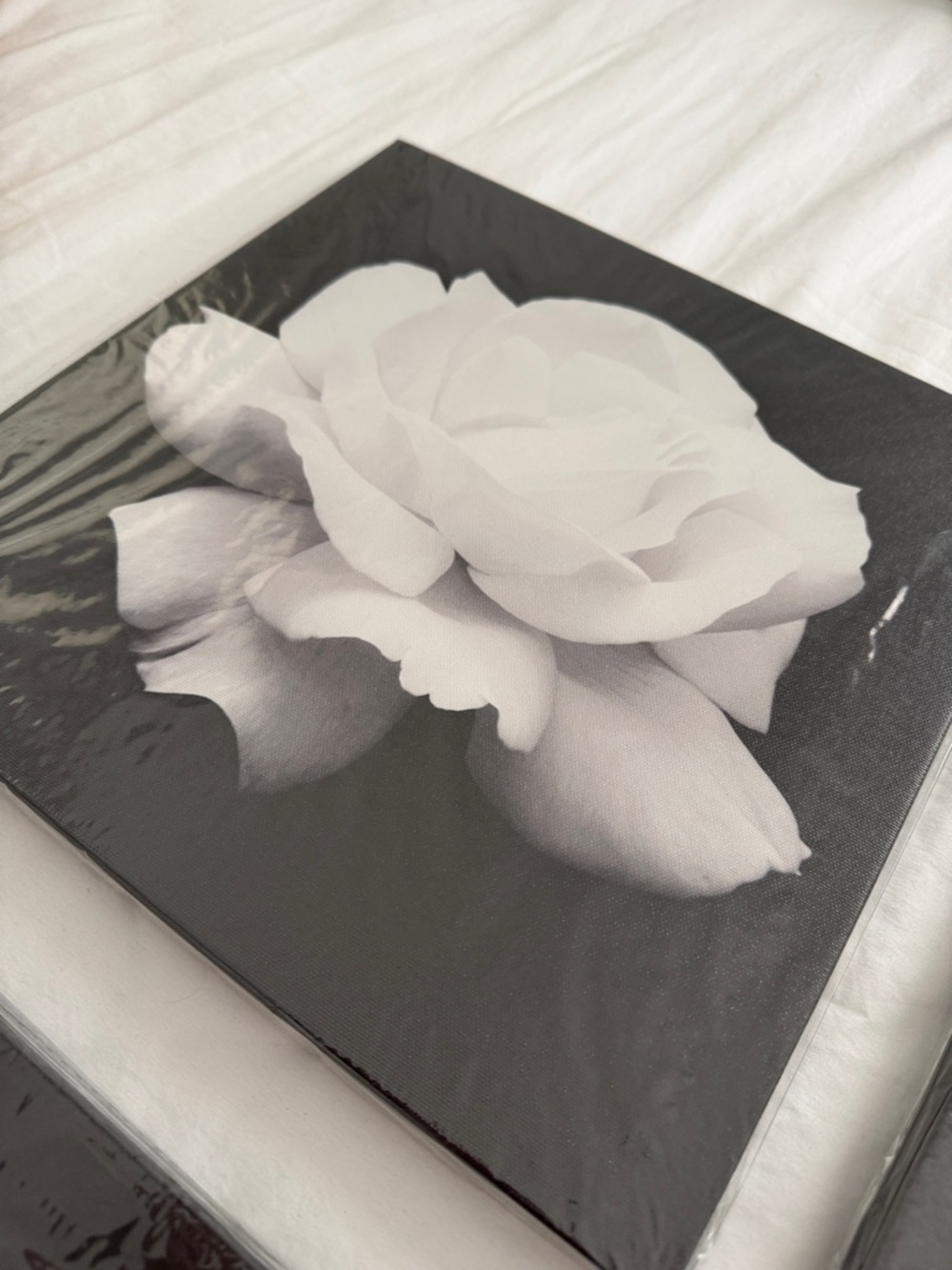 Black & White Floral Canvas Wall Art - Set of 4 - Picture 5 of 12